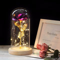 LED Rose Night Light for Valentine's Day Gift
